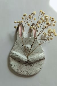 Pallero pupu savityö