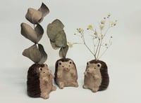 Pieni savimaljakko, siili