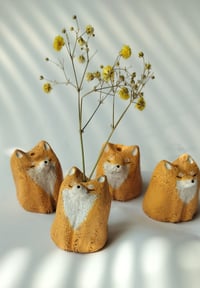 Pieni savimaljakko, koira