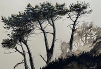 Forest 3