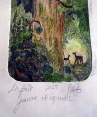 Image 2 of La forêt