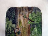 Image 4 of La forêt