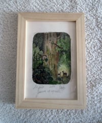 Image 1 of La forêt