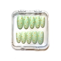 Priklijuojami nagai - Minty Daisies (Vidutinio ilgio)