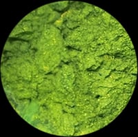 Image 2 of Tattoo Tony Green Powder Pigment 