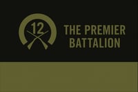 Image 3 of 12th Infantry Battalion Flag