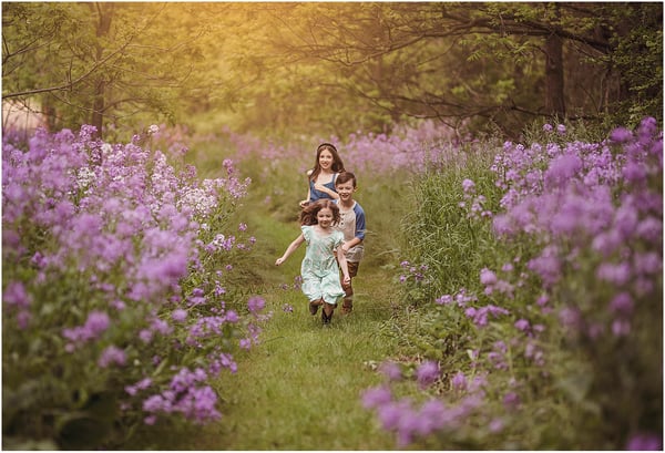 Image of CHRISTMAS IN JULY SALE # 1 - The Meadow