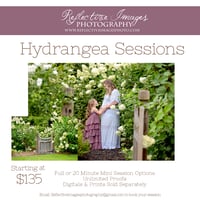 Hydrangea Sessions 