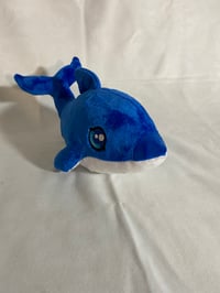 Image 2 of Friendly Dolphin 