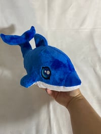 Image 3 of Friendly Dolphin 