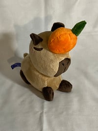 Image 1 of Capybara