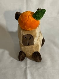 Image 2 of Capybara