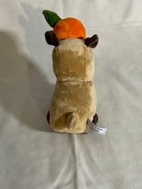 Image 3 of Capybara