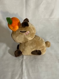 Image 4 of Capybara