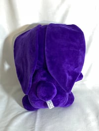 Image 4 of Comet Bunny