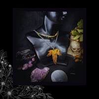 Image 5 of ☽ Hedera Ariditas ☾