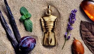 Image of JEAN PAUL GAULTIER ELIXIR ABSOLU