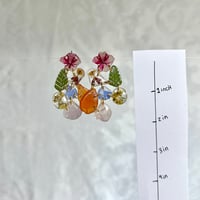 Image 2 of small rainbow mix