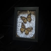 Double Monarch Butterflies - Jack o Lanterns