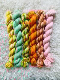 Image 9 of Hand Dyed Australian 8 ply Merino Wool 25 gram x 6 Packs