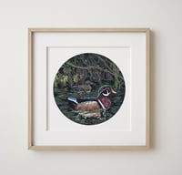 Image 1 of Wood Ducks Print