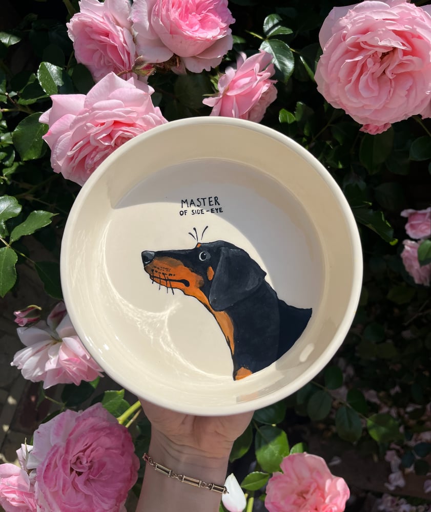 Image of hand painted pet bowls