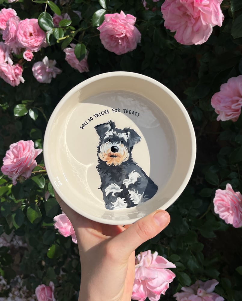 Image of hand painted pet bowls