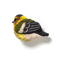 Image 3 of Mini Bird: Cape May Warbler