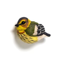 Image 2 of Mini Bird: Cape May Warbler