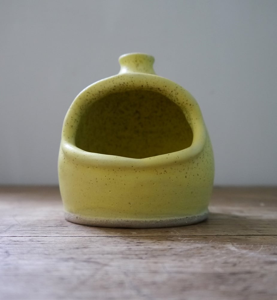Image of Salt pig in custard yellow