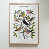 Image 1 of Garden Birds School Chart