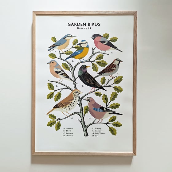 Image of Garden Birds School Chart