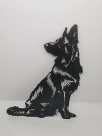 Image 2 of 🐕 German Shepherd