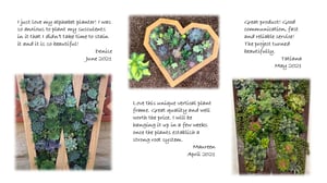 Image of Vertical Succulent Heart Shaped Planter Boxes: