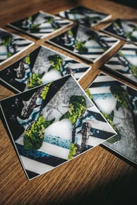 Image 1 of ATTRACT shark art magnets