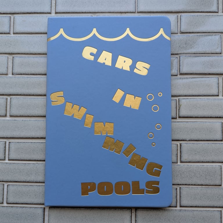 Cars In Swimming Pools by Apologies Press