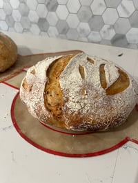 Image 5 of Sourdough Loaves 