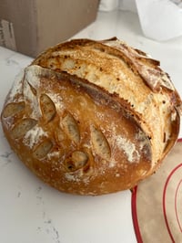 Image 4 of Sourdough Loaves 