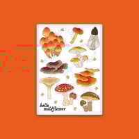 Mushroom Forager Sticker Sheet