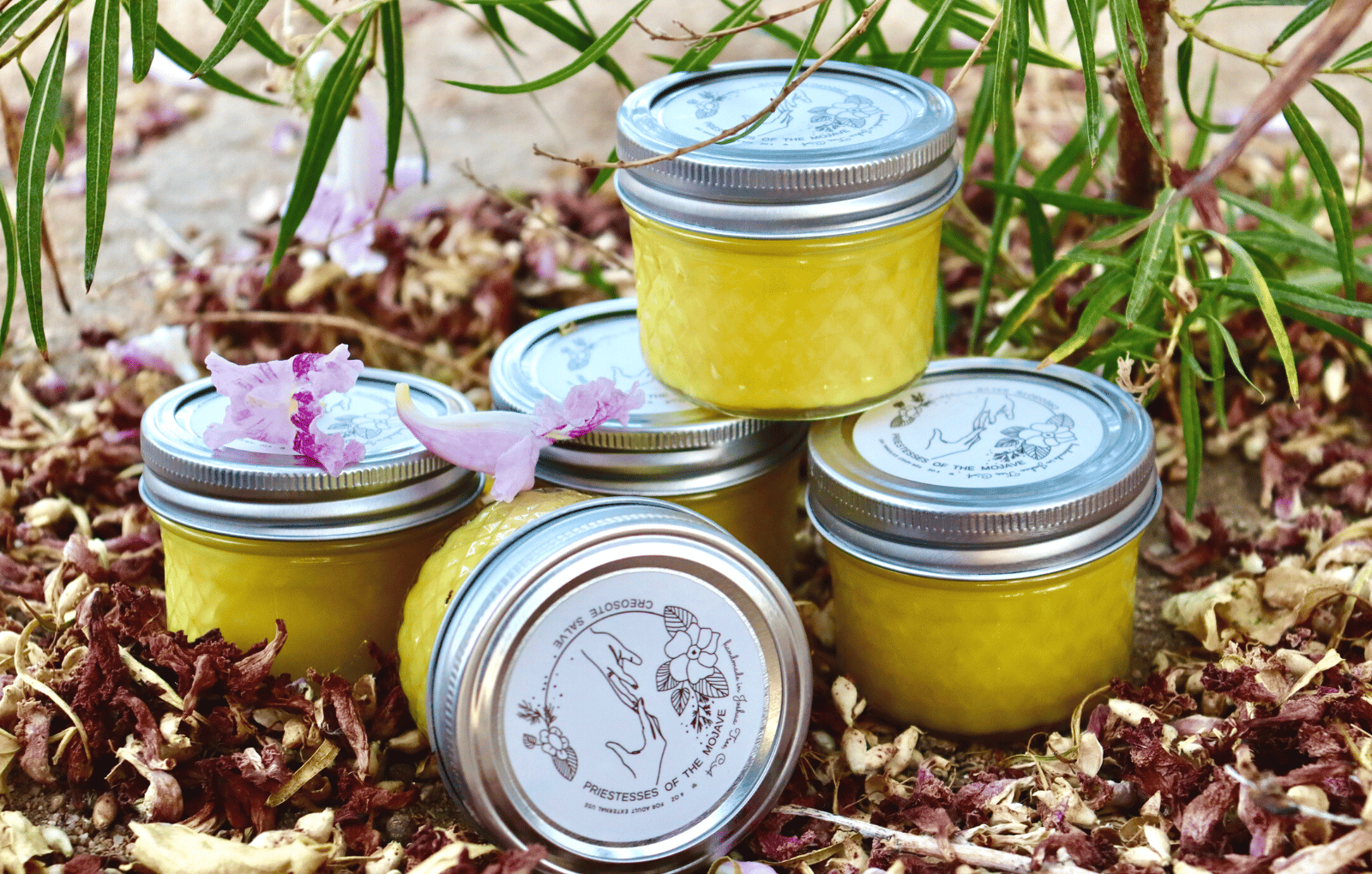 Image of Bundle of 2 - Creosote Salve Body Balm