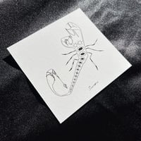 Scorpio - Mini Print