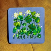 Lily pond study