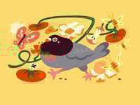 Slow down, Look around