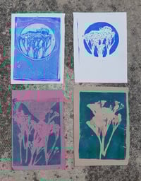 Image 5 of  Botanical Gelli Plate Printing