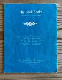 Image 3 of The Seagull by Eileen Saville Taylor