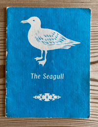 Image 1 of The Seagull by Eileen Saville Taylor