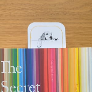 Image of The Bailey Bookmark