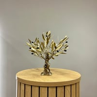 Image 1 of Bronze Olive Tree 25cm