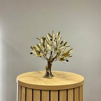 Image 2 of Bronze Olive Tree 25cm
