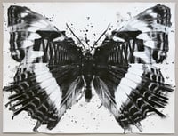 JUSSI TWOSEVEN: Limenitis populi urbis [9/12]